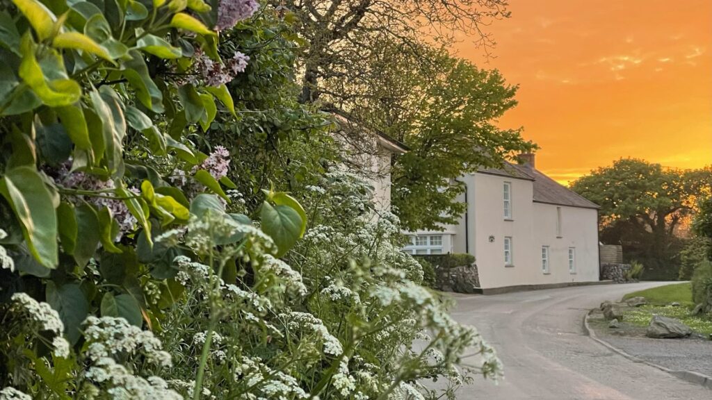 Newtown StMartin